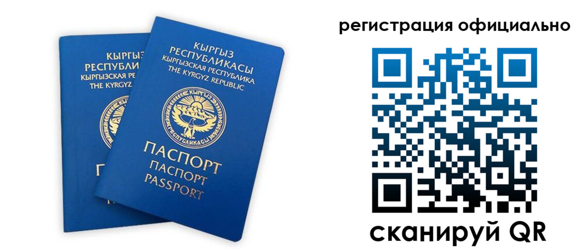 прописка поиск в Нерехте